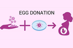 GYNECOLOGY
